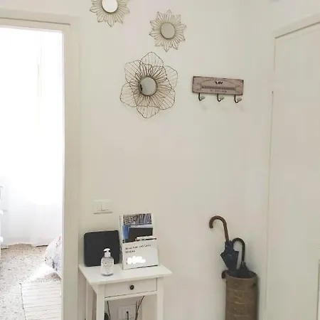 Boutique Con Tv Da 65 E 43 Viareggio